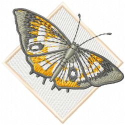 Butterfly Embroidery Design 10 Butterfly Embroidery Design 10